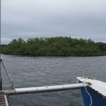 Catamaran tocht langs de mangrove
